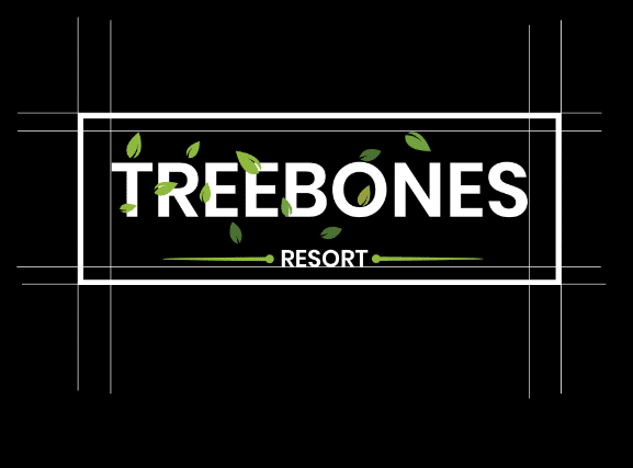 Digital Transformation for Treebones Resort